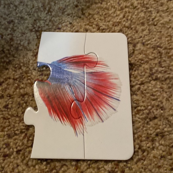 Head to tail match it - Picture 5 of 5